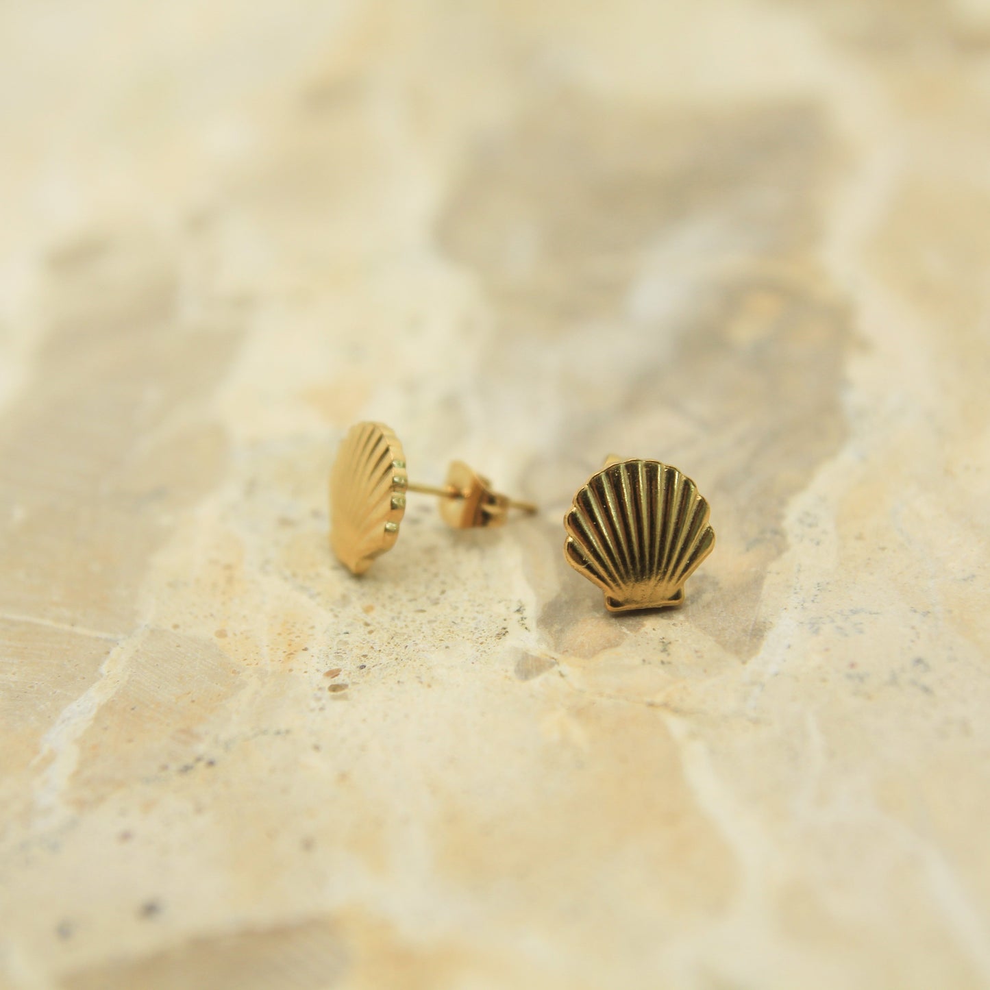 Golden Shell Studs