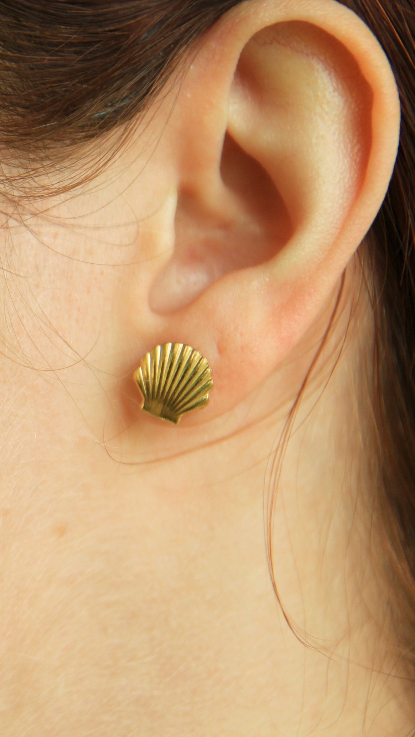 Golden Shell Studs