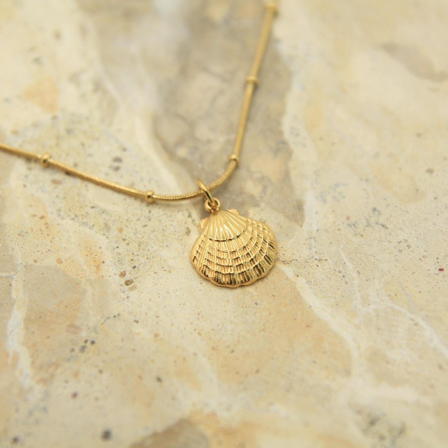Gold Scallop Shell Necklace • Textured Charm, Waterproof Satellite Chain, Coastal Style