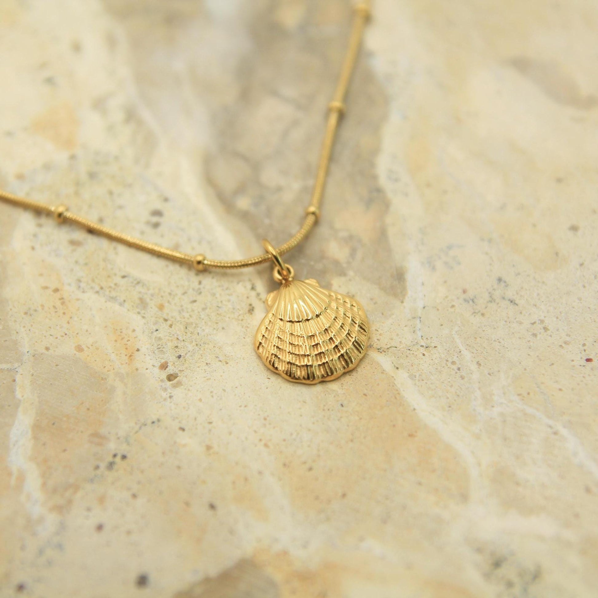Gold Scallop Shell Necklace • Textured Charm, Waterproof Satellite Chain, Coastal Style